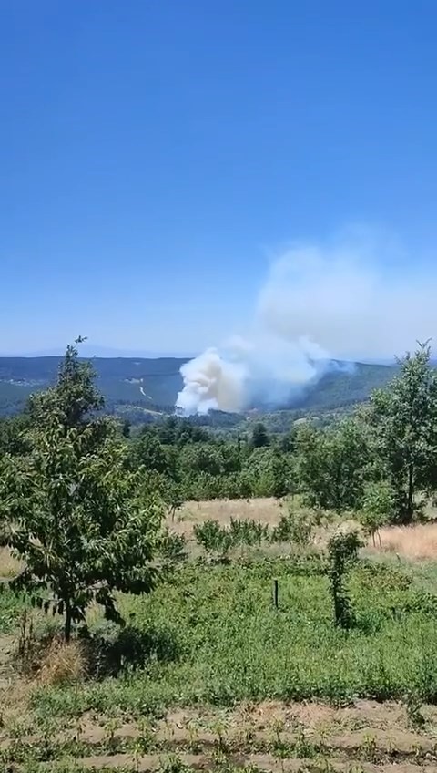 Bursa’nın dağ ilçesinde orman yangını