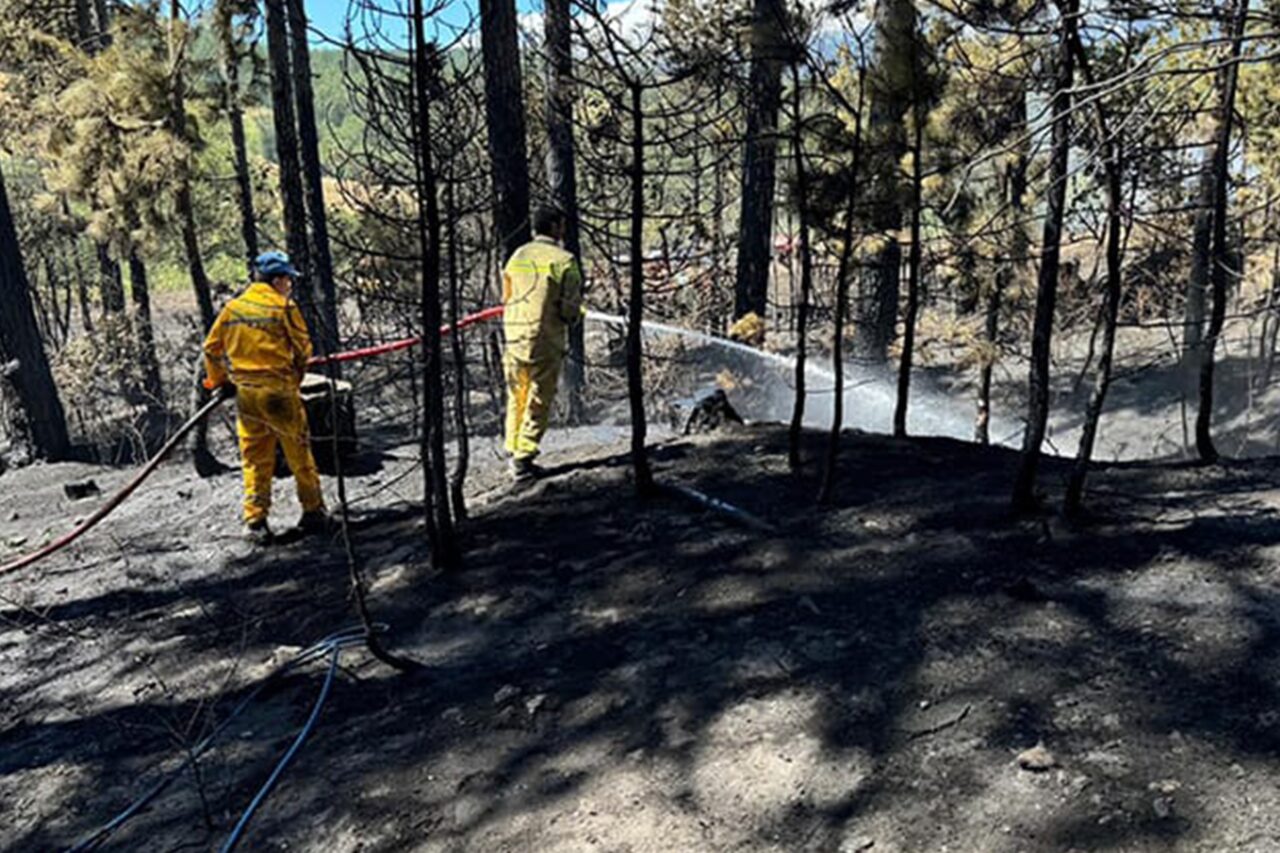 Bursa’da orman yangını! Vali Demirtaş’tan yeni açıklama…