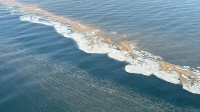 Marmara’da tedirgin eden görüntü! Uyarı geldi: Denize girmeyin