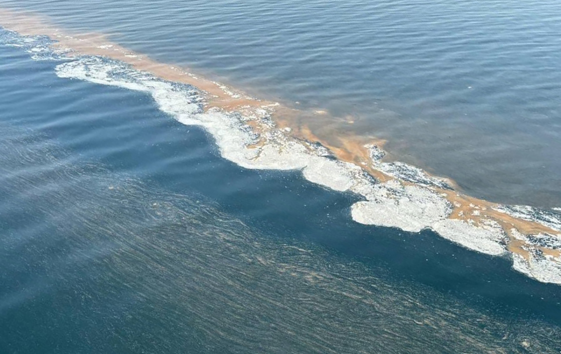 Marmara’da tedirgin eden görüntü! Uyarı geldi: Denize girmeyin Marmara’da tedirgin eden görüntü! Uyarı geldi: Denize girmeyin