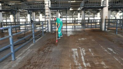 Osmangazi’de kurban pazarları temizlendi