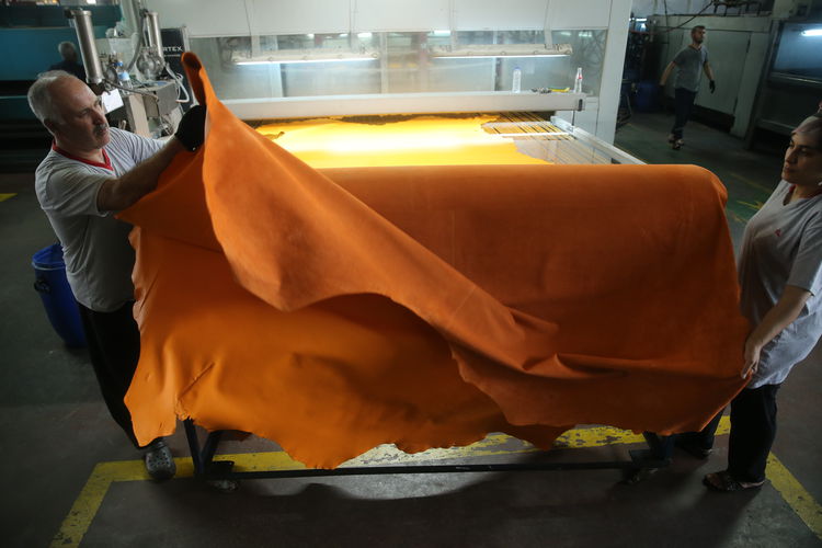 Kurbanın derisini korursak 15 milyar lira cebimizde kalacak