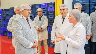 Bursa Valisi Demirtaş, Kardelen’de kestane şekeri üretimini inceledi