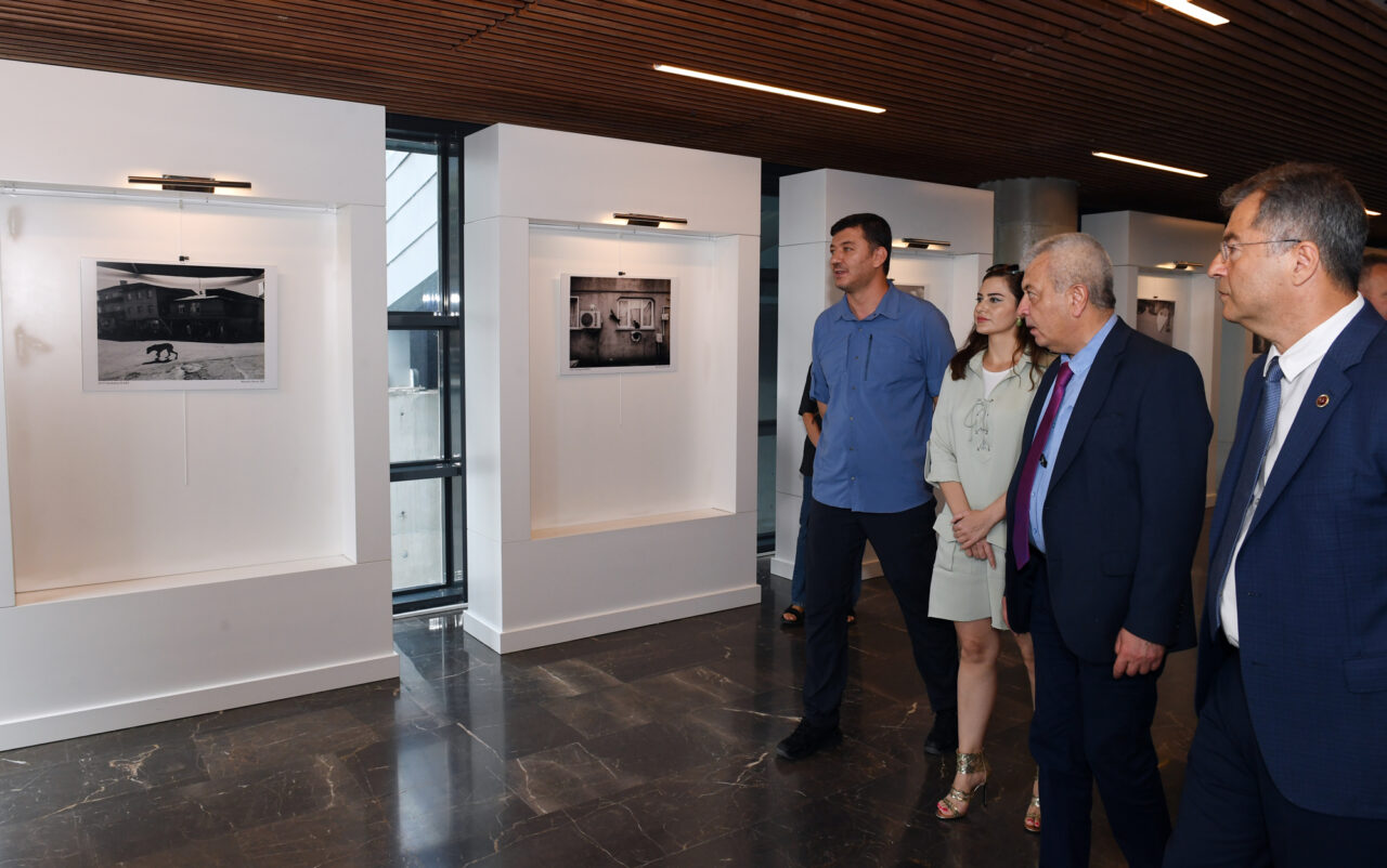 Osmangazi’nin ödüllü fotoğrafçısından sokak hayvanları sergisi 3 Sergi Hayvanlar 1