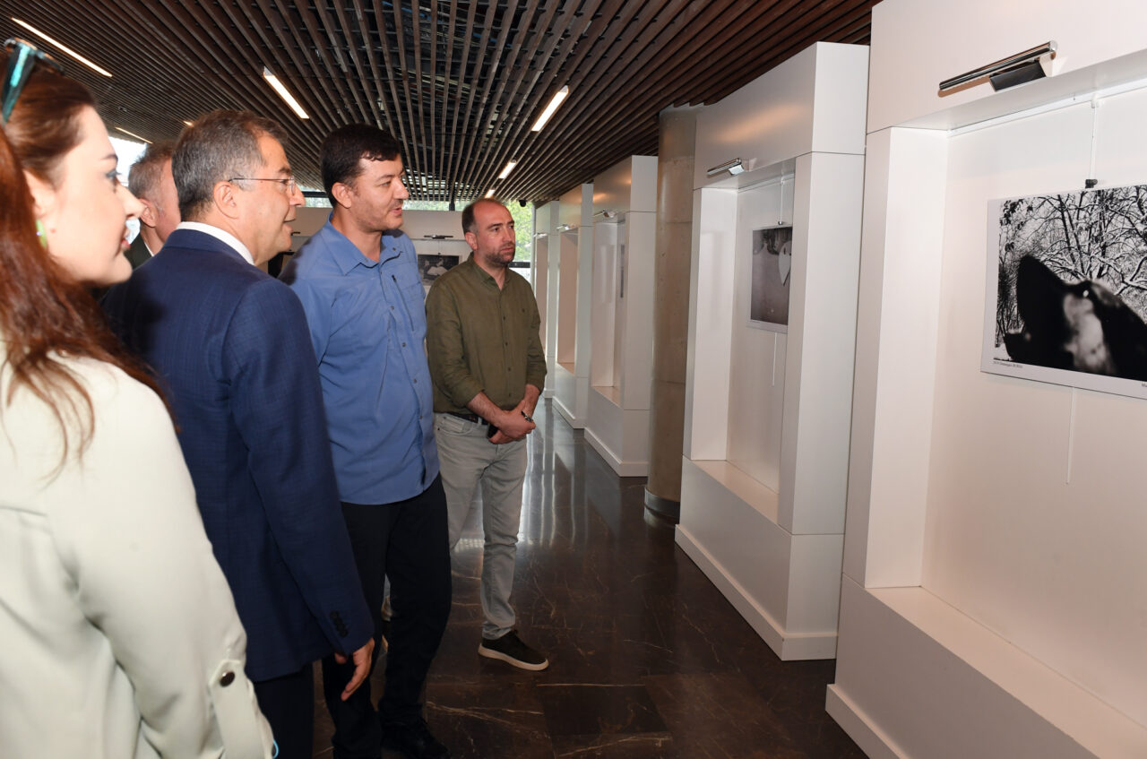 Osmangazi’nin ödüllü fotoğrafçısından sokak hayvanları sergisi 2 Sergi Hayvanlar 2