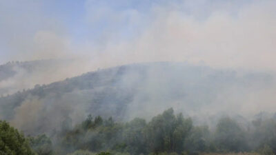 2 ilde daha orman yangını