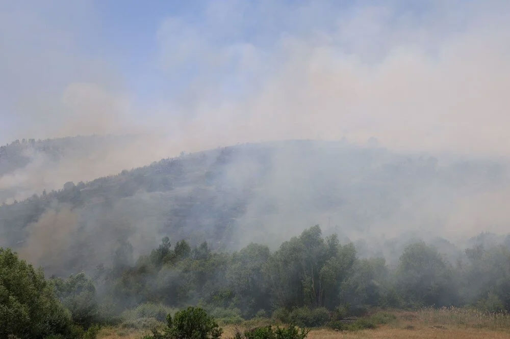 2 ilde daha orman yangını