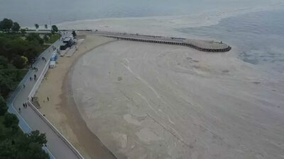 Marmara’da müsilaj endişesi! Uzmanlardan açıklama