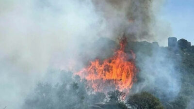 Çanakkale’de yangın: Antik kente sıçradı