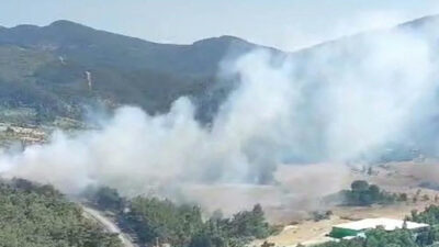 İzmir’de orman yangını