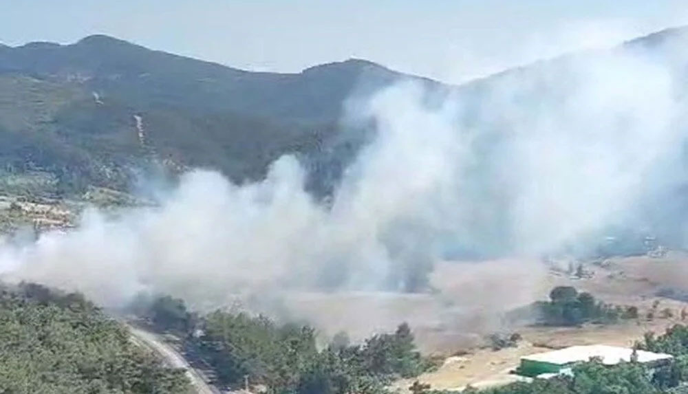 İzmir’de orman yangını İzmir’de orman yangını