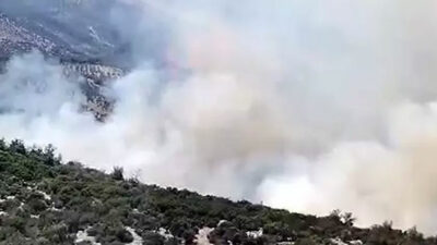 Muğla’daki orman yangınının çıkış sebebi belli oldu