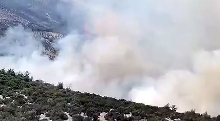 Muğla’daki orman yangınının çıkış sebebi belli oldu Muğla’daki orman yangınının çıkış sebebi belli oldu