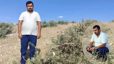 1 yıl sonra aynı kabusu yaşadı Tarlaya gitti, gözlerine inanamadı