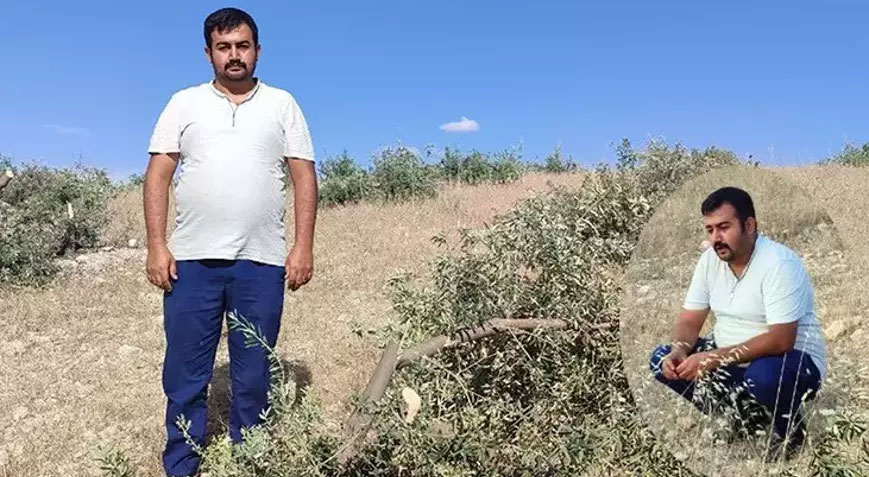 1 yıl sonra aynı kabusu yaşadı Tarlaya gitti, gözlerine inanamadı 1 yıl sonra aynı kabusu yaşadı Tarlaya gitti, gözlerine inanamadı