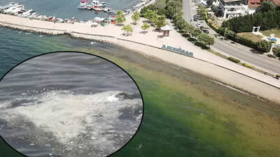 İzmit Körfezi’ndeki beyaz tabakanın sebebi belli oldu