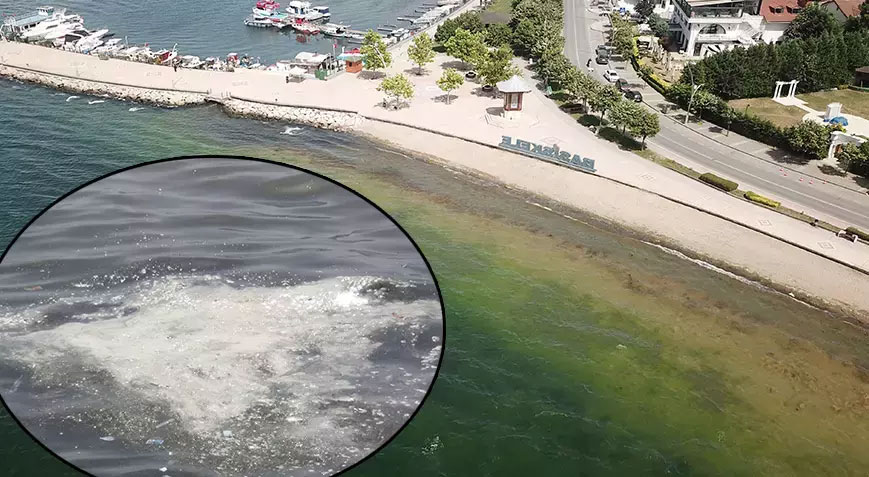 İzmit Körfezi’ndeki beyaz tabakanın sebebi belli oldu İzmit Körfezi’ndeki beyaz tabakanın sebebi belli oldu