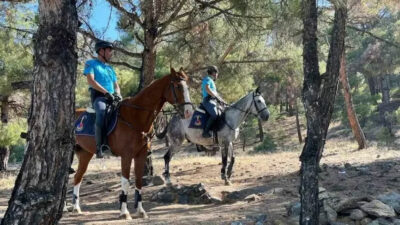 Valilik duyurdu! 15 Haziran- 15 Ekim tarihlerinde ormanlık alana girişler yasaklandı
