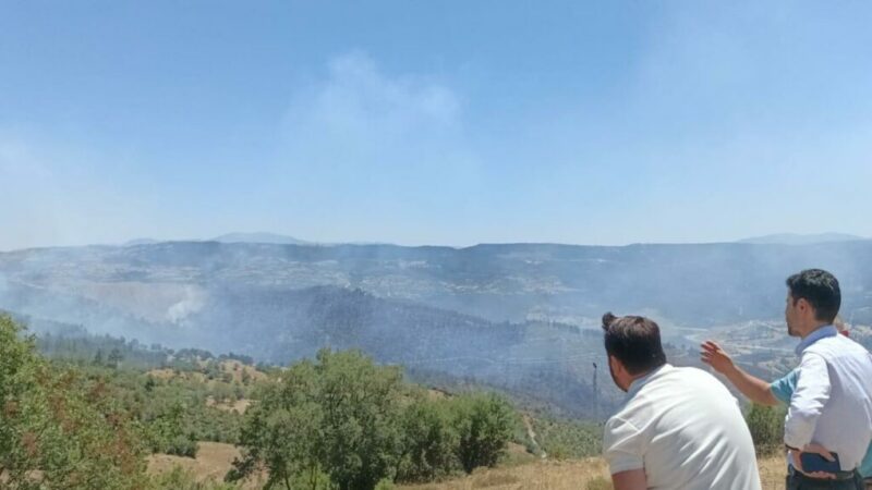Bursa’da kaç hektar alan yandı? Belediye Başkanı yangının çıkış sebebini açıkladı… Bursa'nın Büyükorhan ilçesindeki yangın kontrol altına alındı... Belediye Başkanı Kamil