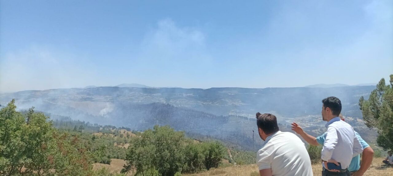 Bursa’da kaç hektar alan yandı? Belediye Başkanı yangının çıkış sebebini açıkladı… Bursa’da kaç hektar alan yandı? Belediye Başkanı yangının çıkış sebebini açıkladı…