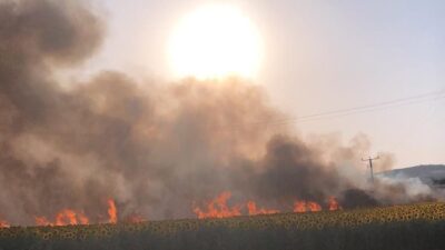 Bursa’da korkutan yangın! Yürekler ağza geldi