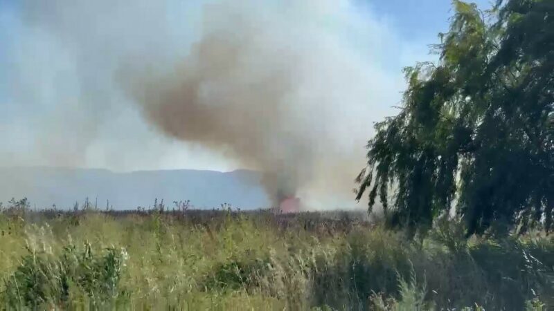 Bursa’da farklı noktalardan anız yangınları Bursa’nın İznik ve Gemlik ilçesinde sazlık alanda çıkan yangın, rüzgarın