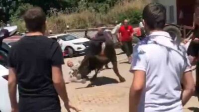 Bursa’da kaçan boğa ortalığı birbirine kattı