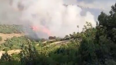 Bursa’daki orman yangınında 250 hektar alan zarar gördü