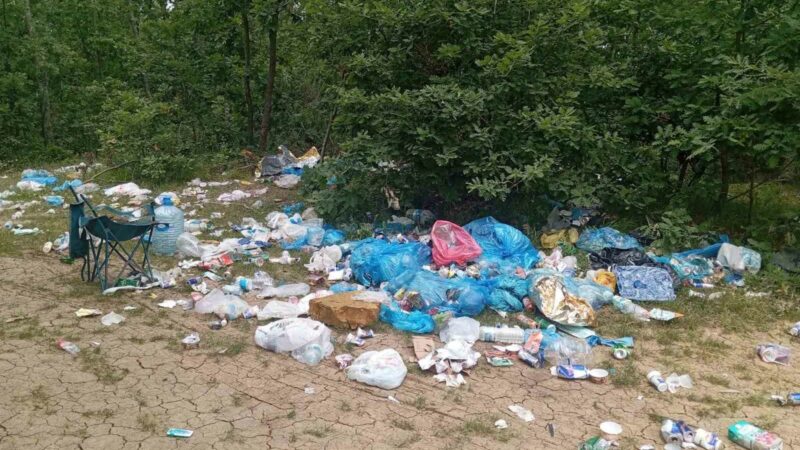 Bursa’da bir araya gelen doğaseverler 5 Haziran Dünya Çevre Günü