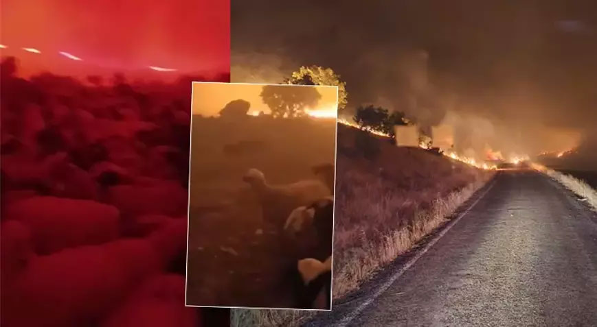 15 kişinin öldüğü facia gecesinin görüntüleri ortaya çıktı 15 kişinin öldüğü facia gecesinin görüntüleri ortaya çıktı