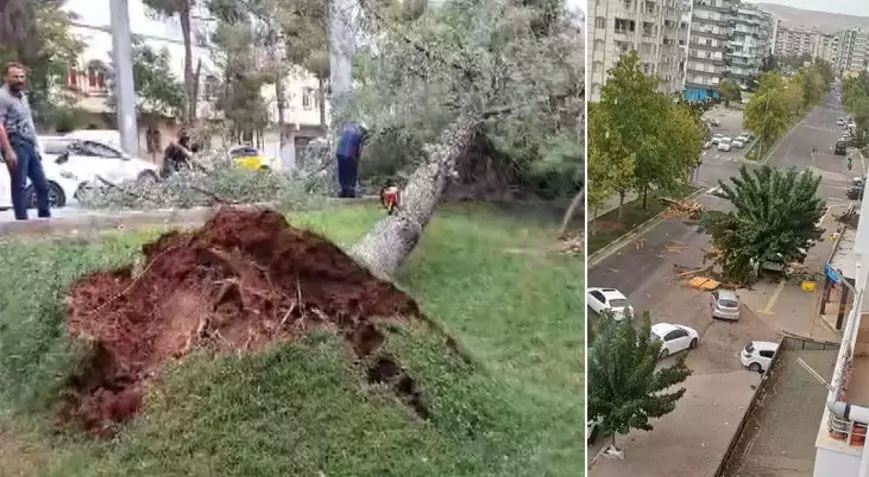 Şiddetli rüzgar! Çatılar uçtu, ağaçları kökünden söküldü Şiddetli rüzgar! Çatılar uçtu, ağaçları kökünden söküldü