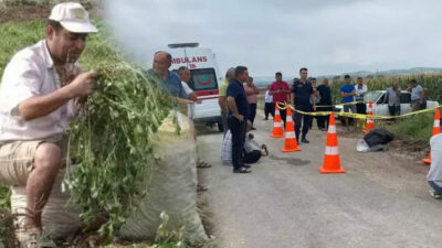 Tarla sulamaya giden çiftçinin sır ölümü