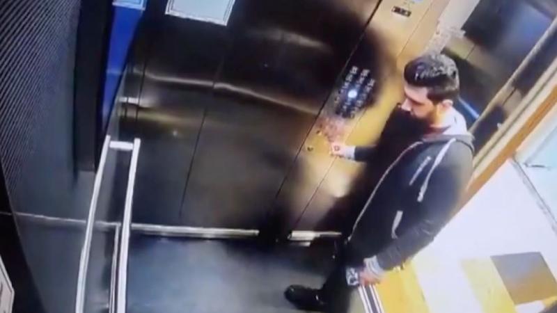 Kedi ‘Eros’u öldürmüştü! Cezası onandı Kedi ‘Eros’u öldürmüştü! Cezası onandı