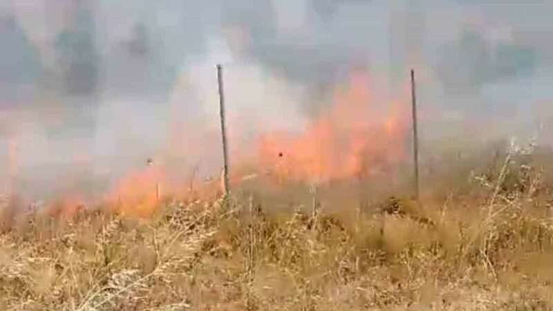 Bursa’da korkutan yangın Bursa’nın Gemlik ilçesinde çıkan çalılık yangını söndürüldü.