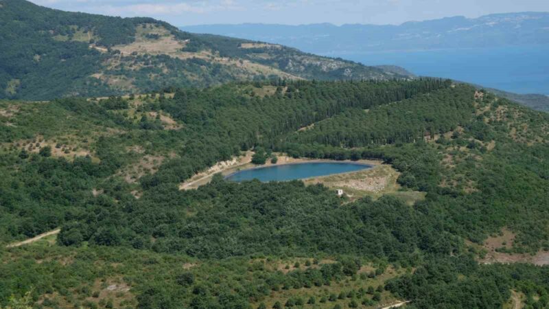 Bursa’da çiftçiyi sevindiren gelişme Bursa Orhangazi’de İznik Gölü’nün kuzey yakasında Çakırlı’nın yüksek kesimlerinde yer