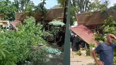 Bursa’da ikiye bölünen çınar ağacı, tarihi hanın üzerine devrildi