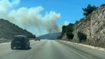 İzmir’de orman yangını