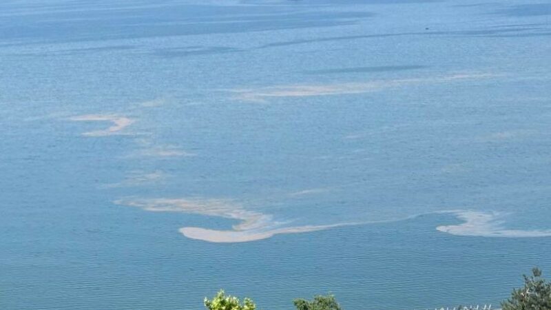 Görüntü Gemlik Körfezi’nden… Kâbus geri mi dönüyor? Gemlik Körfezi’nde ortaya çıkan manzara, müsilaj geri mi dönüyor endişesi