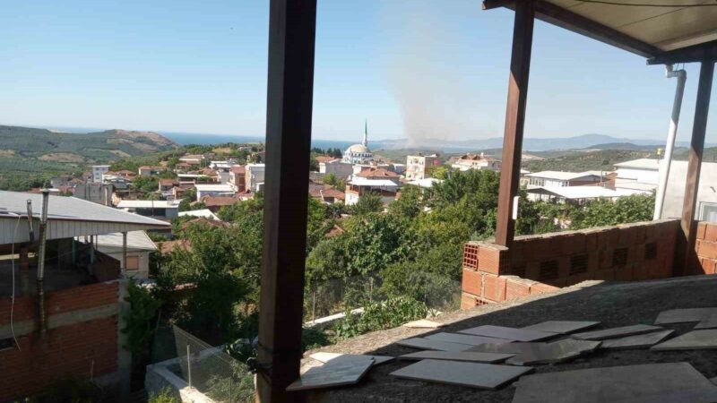 Bursa’nın Mudanya ilçesinde çıkan anız yangını, Orman Bölge Müdürlüğü’ne bağlı