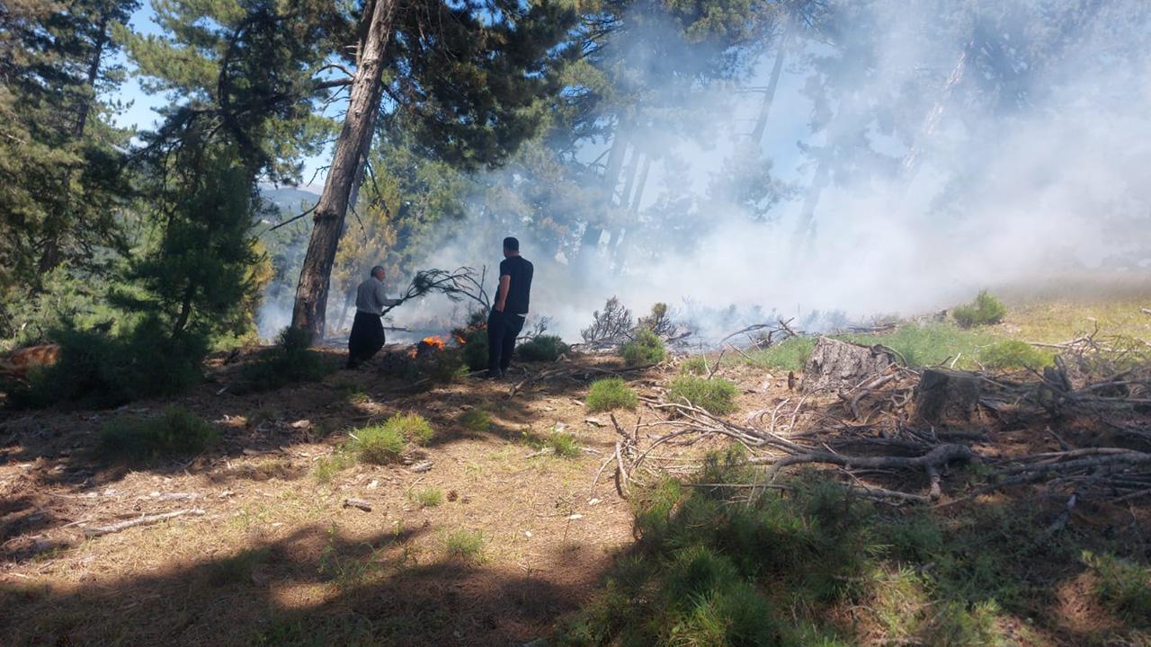 Adana’da orman yangını