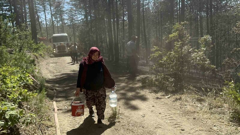 Bursa’daki orman yangınında yürekleri serinleten detay Bursa’nın dağ ilçelerinden Keles’in Uludağ’ın güney yamaçlarını oluşturan ormanlık alanda