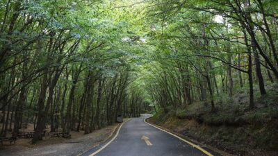 27 ilde ormana giriş yasağı