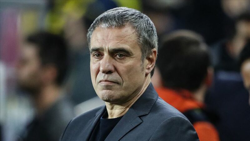 Trendyol 1. Lig'in yeni ekiplerinden Amedspor, teknik direktör Ersun Yanal