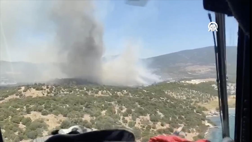 Muğla’da orman yangını