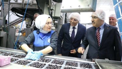 Bursa Valisi Demirtaş’tan Marmarabirlik açıklaması: Zeytin üreticisinin can simidi