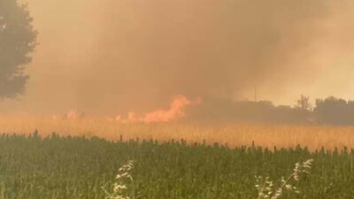 3 ilde orman yangını