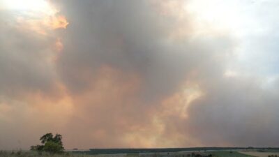 Bulgaristan’daki yangın sınıra ilerliyor! Edirne halkı tedirgin…