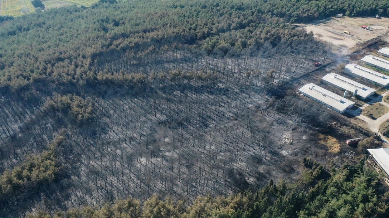 Bursa’daki yangınla ilgili flaş açıklama