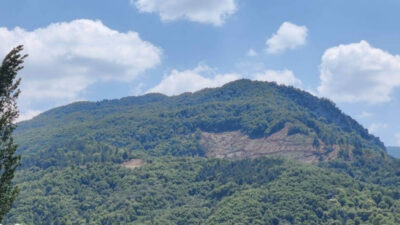 Bursa’nın yasak bölgesindeki ağaçlar neden kesiliyor?