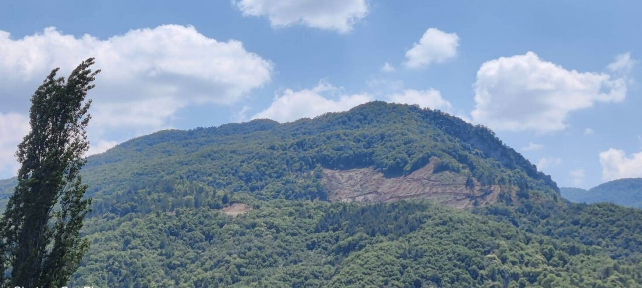 Bursa’nın yasak bölgesindeki ağaçlar neden kesiliyor?